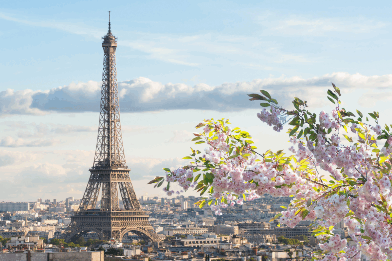 Paris, mai, DomAParis : le trio gagnant du printemps
