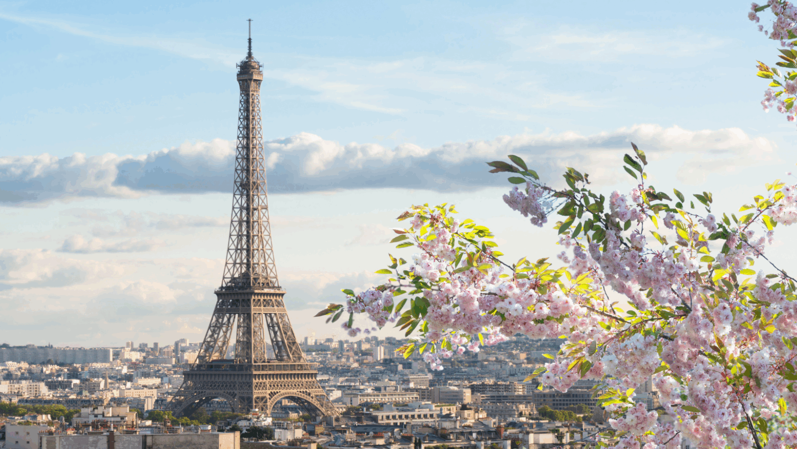 Paris, mai, DomAParis : le trio gagnant du printemps